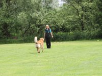 Bendix und das Boxband (69)